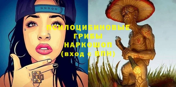 ГАЛЛЮЦИНОГЕННЫЕ ГРИБЫ Покровск