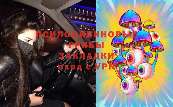 крисы Покачи