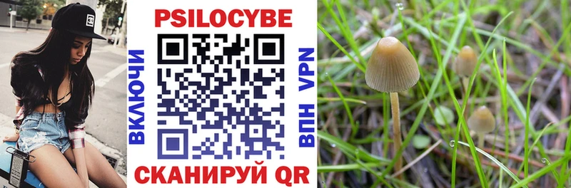 Псилоцибиновые грибы Psilocybe  где можно купить   Лангепас 